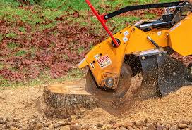 Best Lawn Irrigation Installation and Maintenance  in Aspermont, TX